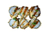 Crispy maki mit Ebi tempura